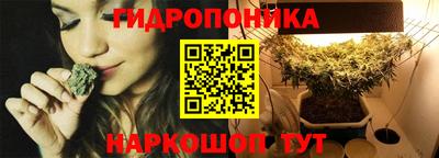 гидропоника Кинель