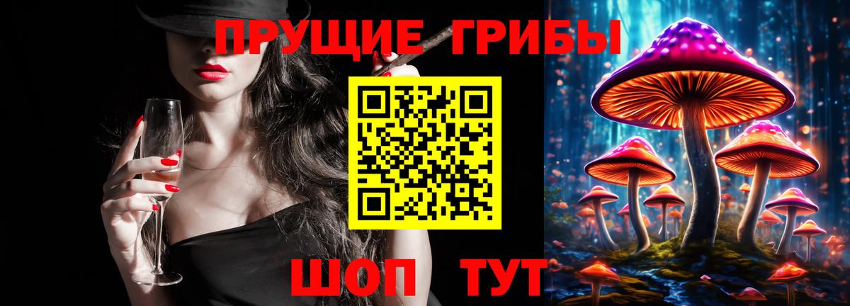Галлюциногенные грибы Magic Shrooms  Вход с VPN  купить наркоту  Комсомольск-на-Амуре  Псилоцибиновые грибы GOLDEN TEACHER 